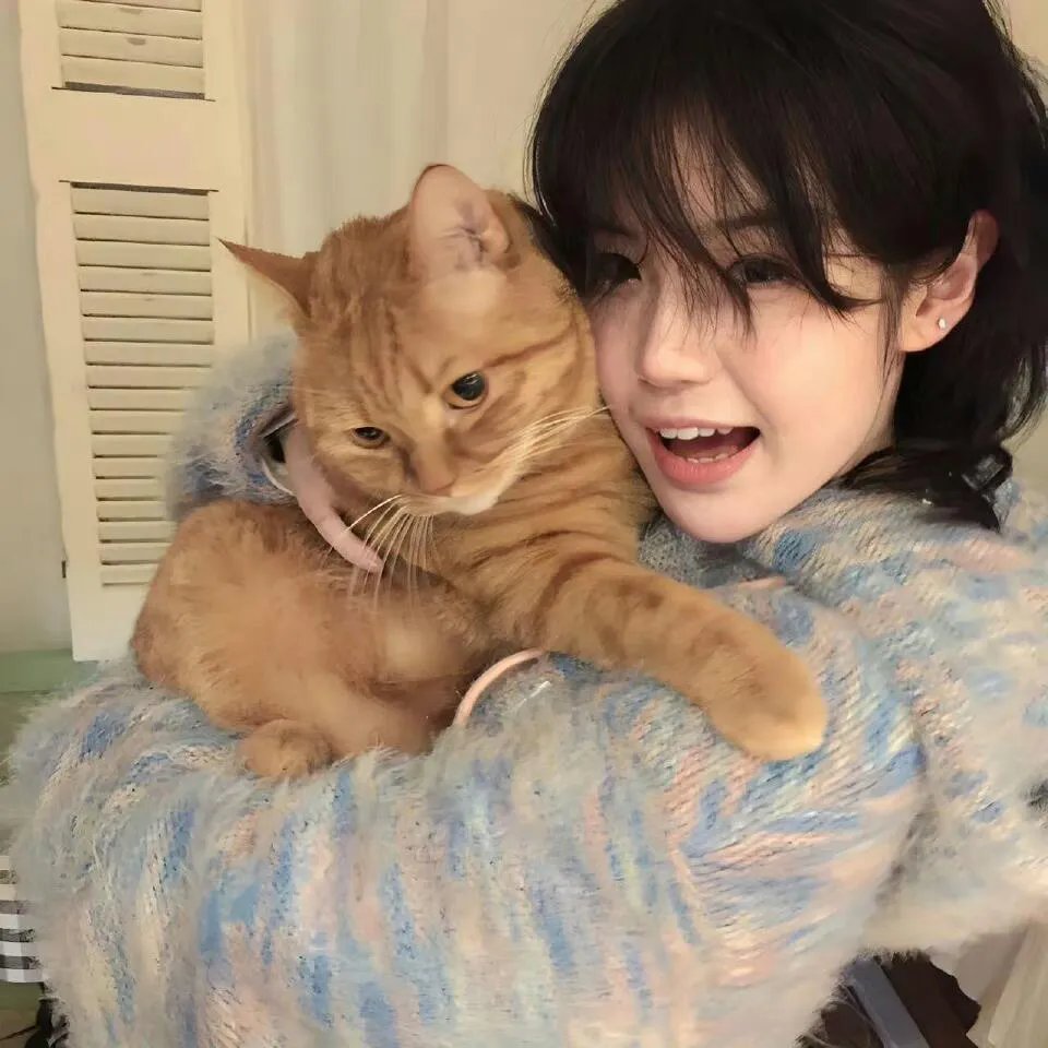 重生之盖世无双